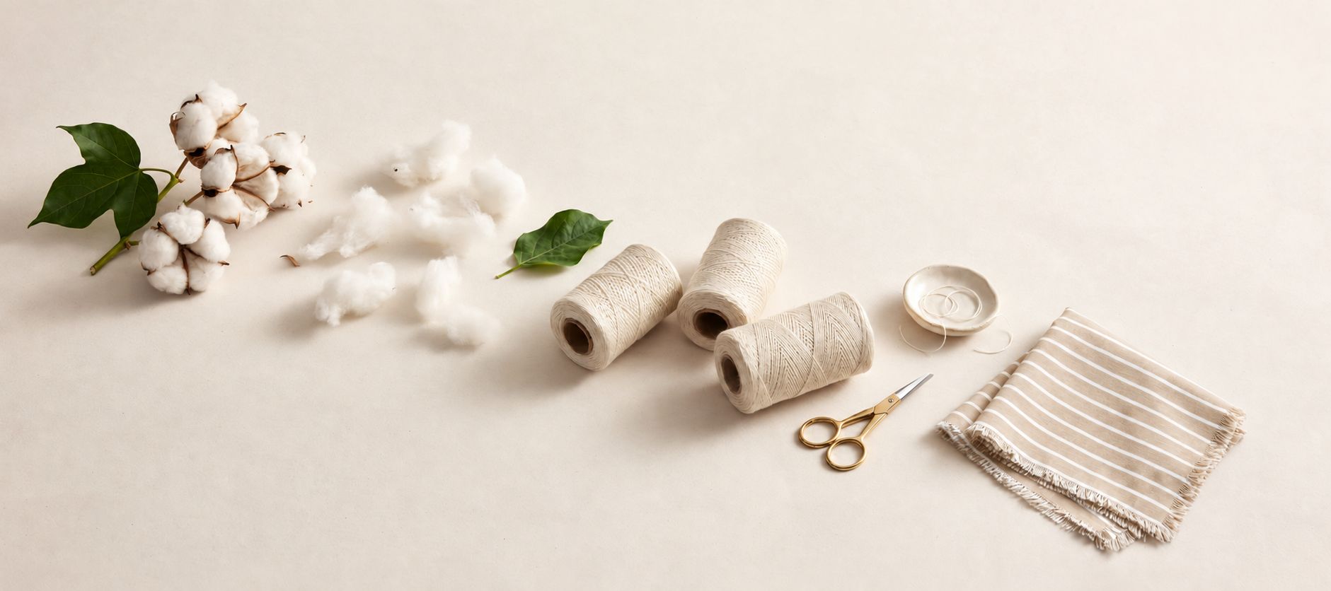 Everything You Need to Know About Supima Cotton